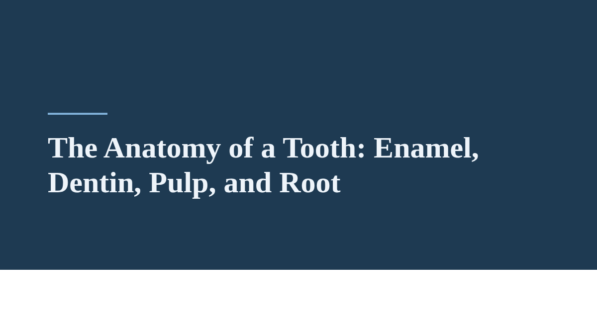 The Anatomy of a Tooth: Enamel, Dentin, Pulp, and Root